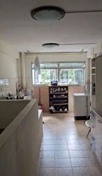 New Upper Changi Road (D16), Shop House #451379421